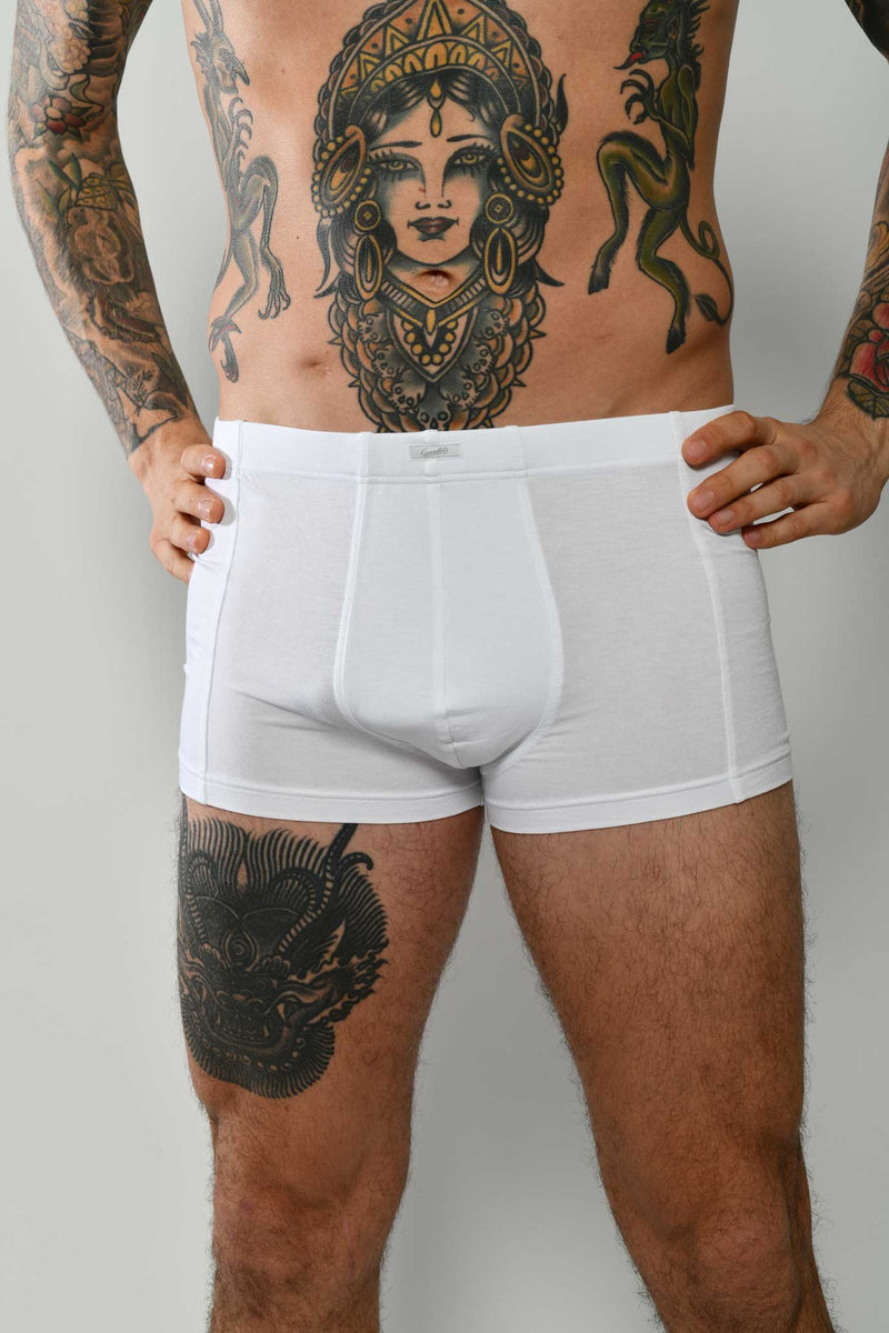 Boxer Oscalito